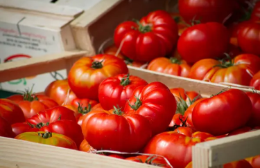 В Украине растут цены на импортные помидоры