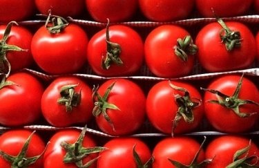 Крупнейший производитель томатной пасты займется органикой