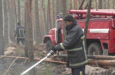 Лесной пожар в Житомирской области. Фото: ГСЧС