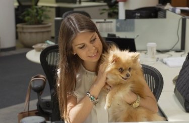 В Украине ищут компании, которые могут поделиться опытом создания pet-friendly офисов 