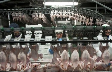 Крупнейший производитель курятины за год поднял цены на мясо на четверть