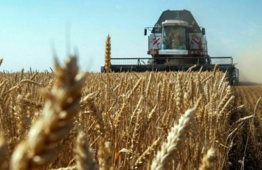 вкрадене зерно, українське зерно, комбаїн, збирання врожаю, засіяне поле, поле зерна, пшеничне поле