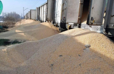 В ЕС из-за протестов фермеров усилят проверку за экспортом украинского зерна