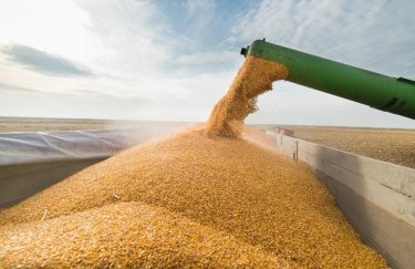украинское зерно, зерновые, вывоз украинского зерна, вывезти зерно, продовольственный кризис