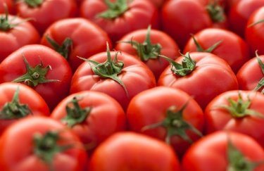 Цены на украинские тепличные помидоры достигли рекордных отметок