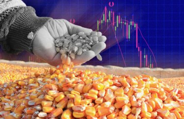 кукуруза, зерно, цены, порты, рентабельность