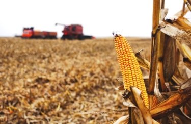 Аграрії почали збирати кукурудзу