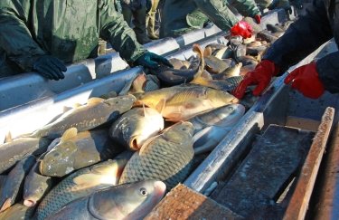Україна просить запровадити санкції проти рибної галузі РФ