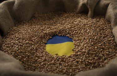 запрет на украинское зерно
