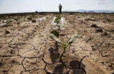 Засуха в Украине. Фото: lisahaven.news