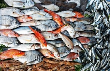 Вылов рыбы браконьерами принес государству 28 млн грн убытков