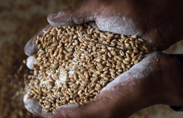 Германия хочет отказаться от биотоплива, чтобы предотвратить голод в мире