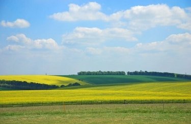 В Украине заработал сервис для аудита земельных участков