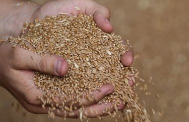Світова організація торгівлі пообіцяла допомогти з експортом українського зерна