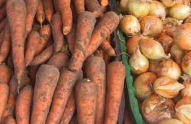 в Україні дешевшають цибуля та морква