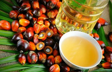 Украина за полгода импортировала более 124 тысяч тонн пальмового масла