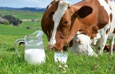 Производство молока в 2019 году рекордно сократилось