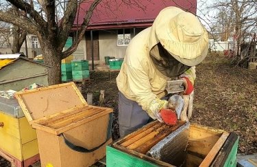 пчеловодство, Луганская область