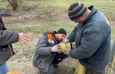 РГК восстановила газоснабжение в 190 000 домохозяйствах