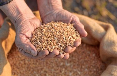Індія спростила для України процедуру імпорту зернових