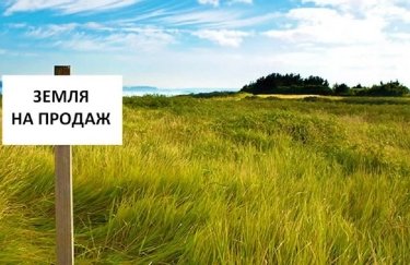 Рынок земли в Украине могут открыть очень скоро. Фото: dengi.informator.ua