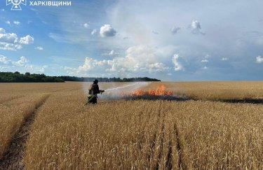 Россия уничтожает урожай украинских фермеров, нанося удары FPV-дронами по полям