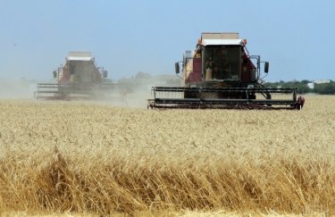 Украинские аграрии в этом году намолотили 49 млн тон зерна