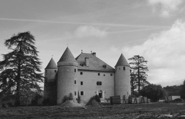 коломойьский замок франція