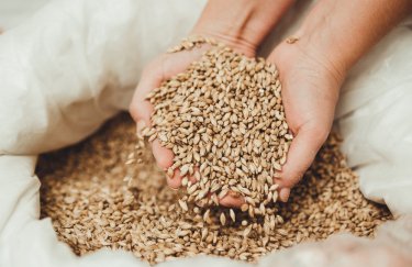 польща, єс, заборона на імпорт українського зерна