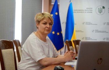 Заместитель министра защиты окружающей среды и природных ресурсов Украины Елена Крамаренко. Источник: ecology.od.gov.ua Елена Крамаренко