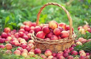 Украина уверенно опередила Польшу на рынках яблок в Юго-Восточной Азии