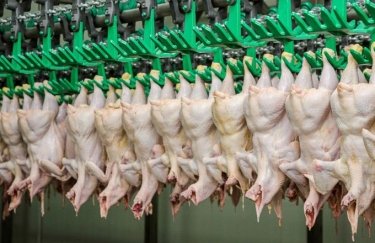 Украина экспортировала рекордные объемы курятины в прошлом году