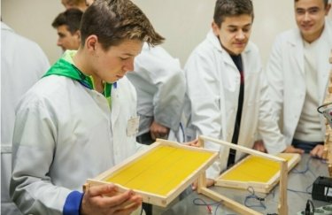 В Молдове будут обучать профессиям пчеловода и производителя ягод