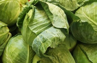 Підвищення попиту стимулює зростання цін на капусту в Україні. Фото: pixabay.com капуста