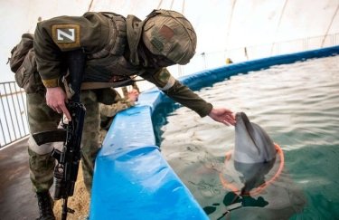 Британська розвідка пояснила, як РФ використовуватиме бойових дельфінів у Севастополі