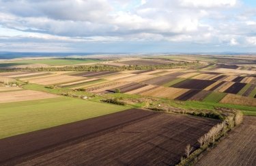 За місяць аукціони "Земельного банку" принесли до бюджету близько 35 млн грн