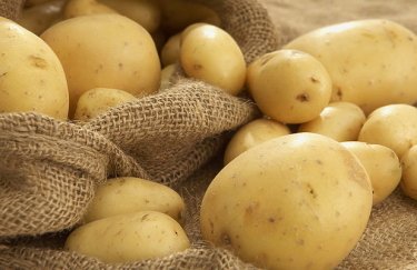 В Украине дешевеет молодой картофель: какие цены