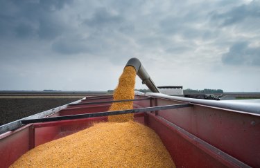 В Луганской области не смогли начать посевную, потому что оккупанты украли трехлетний запас зерна