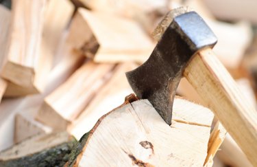 В Харківській області мешканці деяких районів безкоштовно отримають дрова