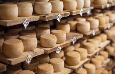 Украина стала больше импортировать сыров — данные за 2018 год