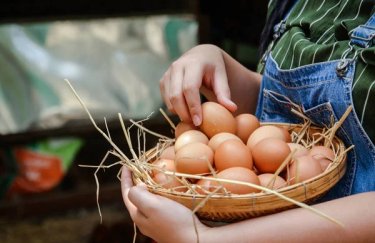 Румыния ввела лицензирование на импорт яиц и мяса птицы из Украины