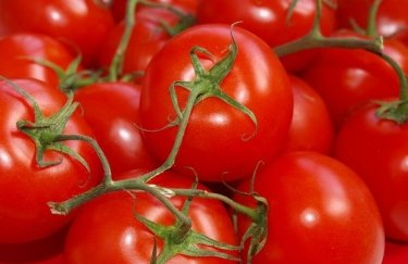В Украине снижаются цены на помидоры