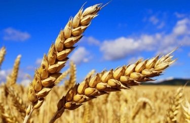 Украина на 4,6 млн тонн нарастила экспорт зерна