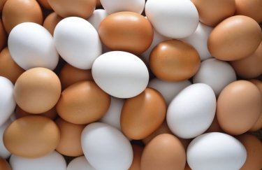 Крупный производитель яиц увеличил продажи на 13%