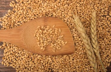 В Украине резко растут цены на продовольственную пшеницу
