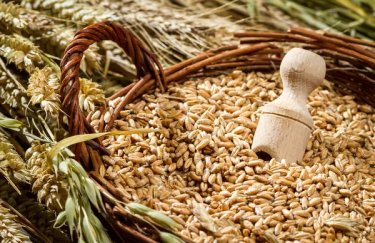 Україна планує експортувати всі залишки зерна до кінця травня, що спричинить зростання цін - УЗА