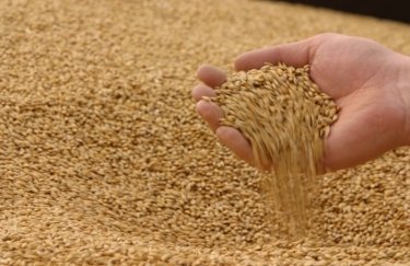 На митниці розкрадали мільйони гривень на експорті українського зерна