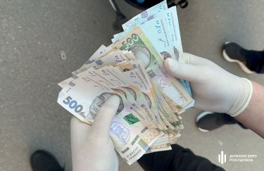 Разоблачили на миллионных сделках: чиновнице из налоговой службы Кировоградщины грозит 5 лет тюрьмы