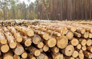 У Держлісагентстві видали 1381 е-сертифікатів про походження деревини