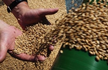 Еврокомиссия официально предложила повысить пошлины на зерно из РФ и РБ